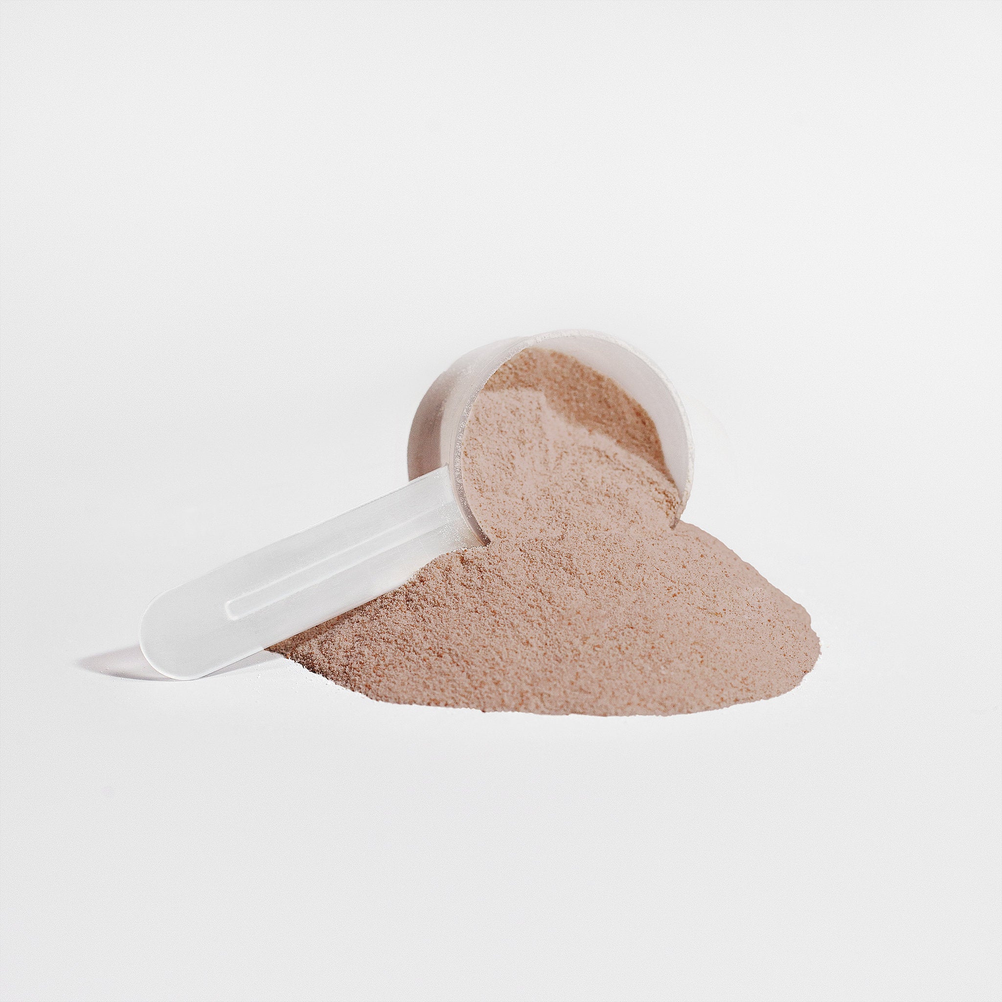 Plant Protein Chocolate - Deliciously Nutritious Vegan Protein Source